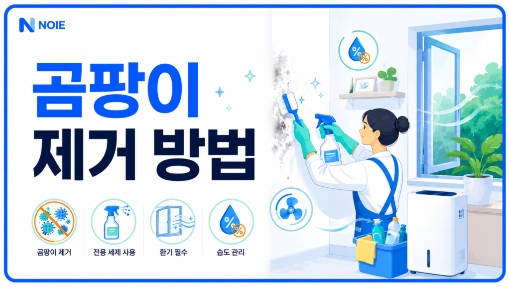 곰팡이 제거 방법과 예방 관리 썸네일