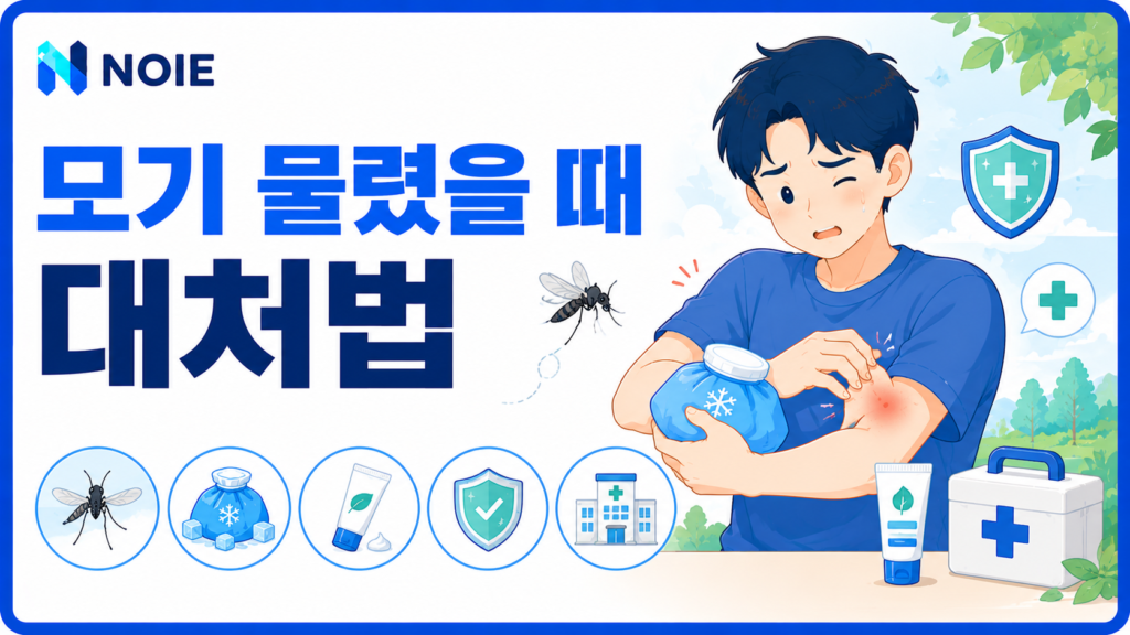 모기 물렸을 때 대처법